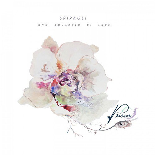 Spiragli, uno squarcio di luce