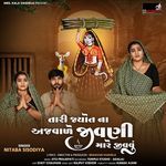 Tari Jyot Na Ajvale Jivani Mare Jiv Vu