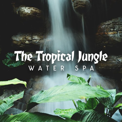 The Tropical Jungle Water Spa_poster_image