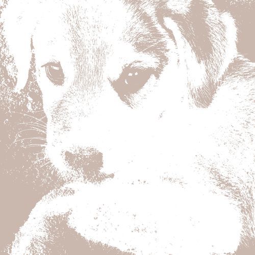 Digital Champagne Drunk cover art