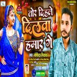 Tor Dihale Dilwa Hamar Ge