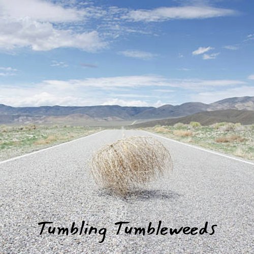 Why do tumbleweeds tumble?