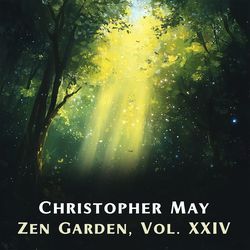Reflections in the Absolute by Christopher May