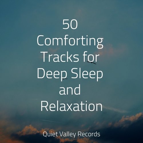 50 Comforting Tracks for Deep Sleep and Relaxation_poster_image