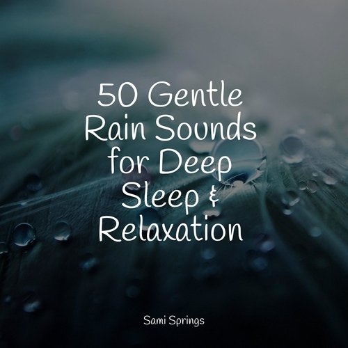 50 Gentle Rain Sounds for Deep Sleep & Relaxation