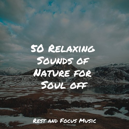 50 Relaxing Sounds of Nature for Soul off_poster_image