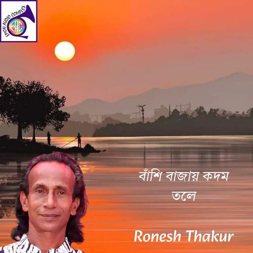 বাঁশি বাজায় কদম তলে