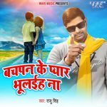 Bachpan Ke Pyar Bhulaiha Na
