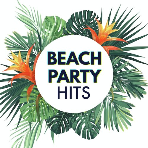 Beach Party Hits_poster_image