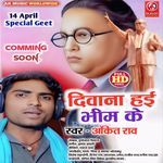 Deewana Hayi Bhim Ke