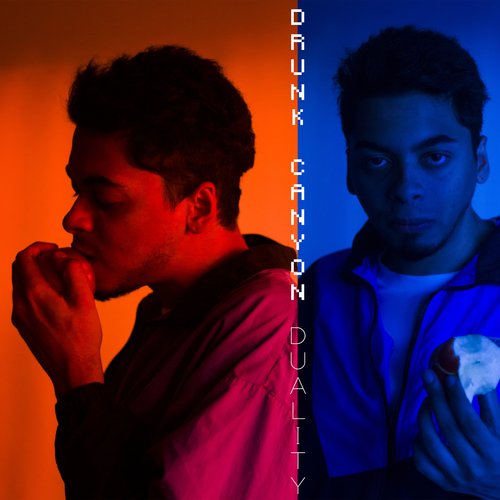 Duality cover art