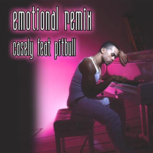 Emotional Pitbull Remix_poster_image