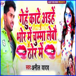 Gehu Kate Aehe Bhor Me Chumma Lebo Thor Me