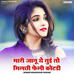 Mari Janu Ye Tui To Milechhi Feli Kotdi