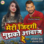 Meri Jindagi Mujhko Aawaj De