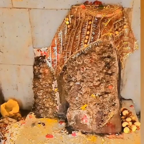 म��ैडम जोड़ा सु चालिंगा बीरमकी को देखबा मेलो