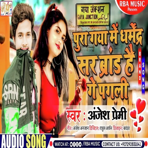 Pura Gaya Me Dharmendra Sir Brand Hai Ge Pagali