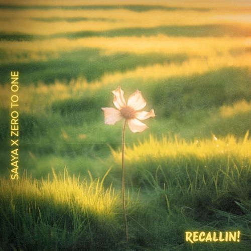 Recallin!