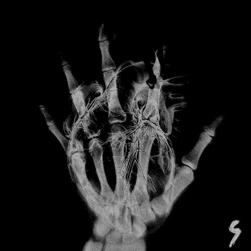 Rgn23 (Super Slowed)