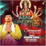SHERANWALI PATTAN TE AAYI artwork