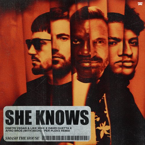 She Knows (with Akon) (Per Pleks Remix)