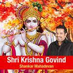 Shri Krishna Govind