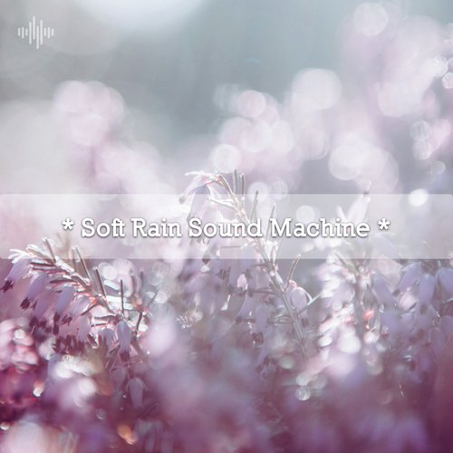 * Soft Rain Sound Machine *_poster_image