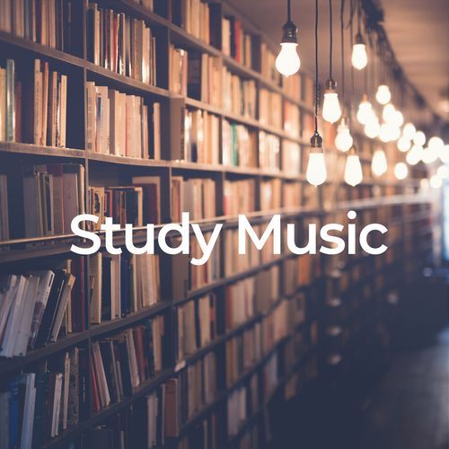 Study Music: Focussed with Nature Sounds