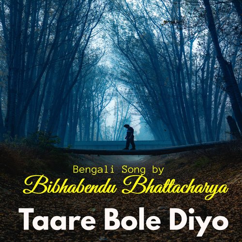 Taare Bole Diyo_poster_image