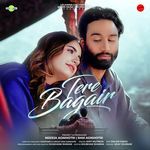 Tere Bagair