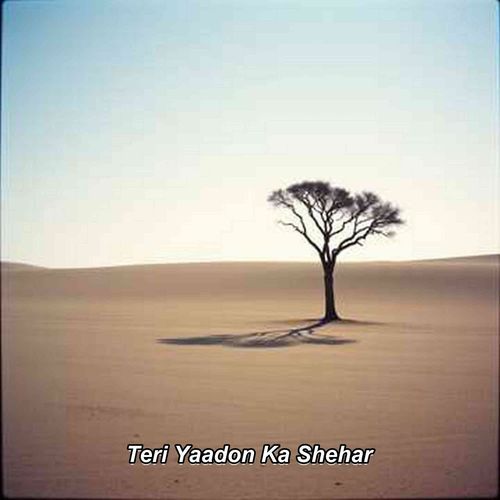 Teri Yaadon Ka Shehar