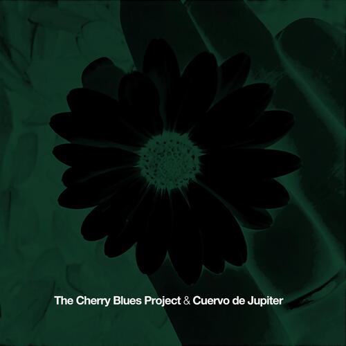 Teb (The Cherry Blues Project Remix) cover art