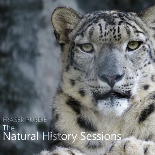 The Natural History Sessions (Original Soundtrack)