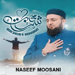 Woh Shehr E Mohabbat