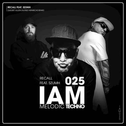 Zukunft Allein (Alfred Heinrichs Remix)