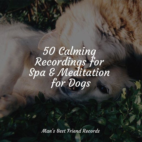 50 Calming Recordings for Spa &amp; Meditation for Dogs_poster_image