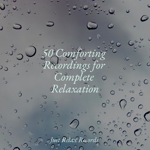 50 Comforting Recordings for Complete Relaxation_poster_image