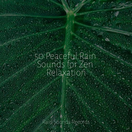 50 Peaceful Rain Sounds for Zen Relaxation_poster_image