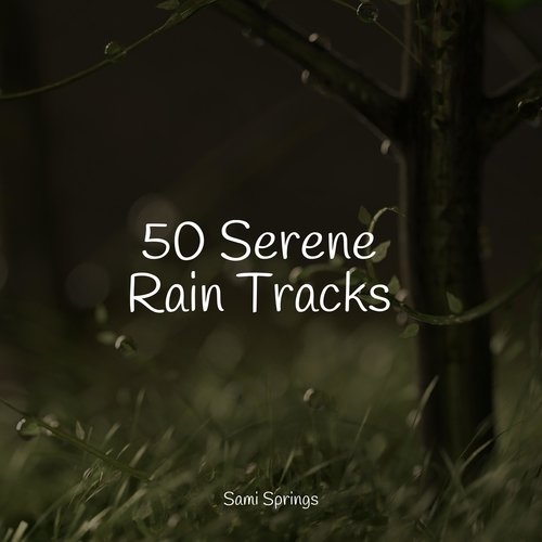 50 Serene Rain Tracks