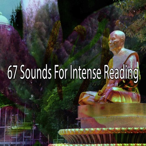 67 Sounds for Intense Reading