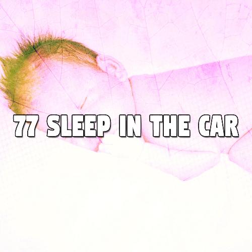 77 Sleep in the Car