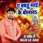 A Mai K Jaldi Le Aao