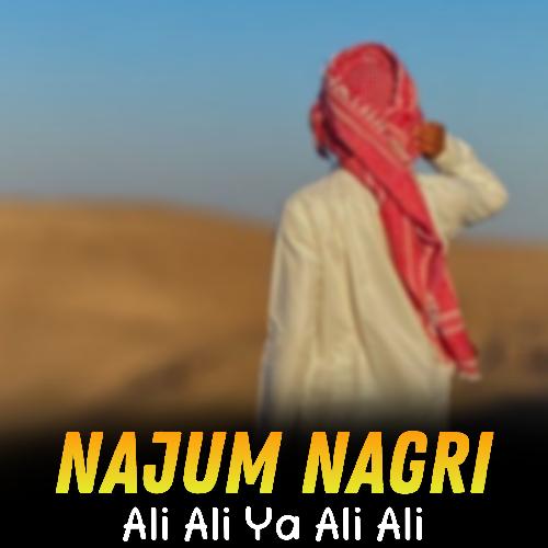 Ali Ali Ya Ali Ali