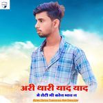 Ari Thari Yaad Yaad Me Roti Bhi Kon Bhav N