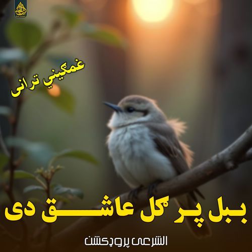 ببل پر ګل عاشق دی