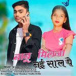 Babu Milja Nai Saal Pe