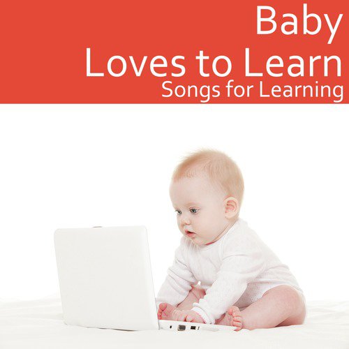 Baby Loves to Learn: Songs for Learning_poster_image