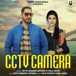 CCTV Camera artwork