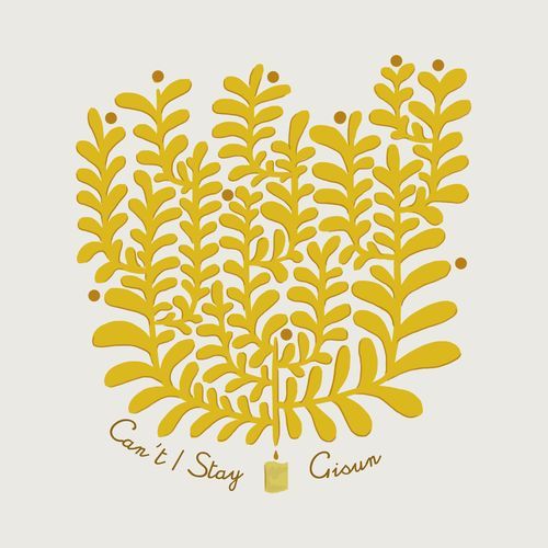 Can't I Stay cover art