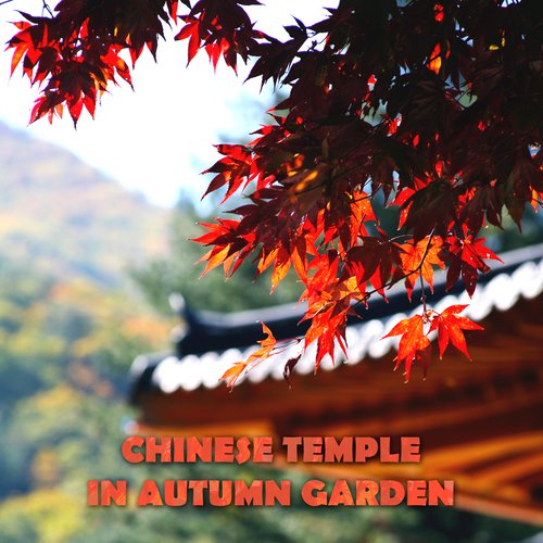 Chinese Temple in Autumn Garden (Asian Zen Spiritual Music, Japanese Nature Sounds, Cherry Spring Pond, Golden Light in the Rainy Night)
